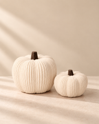 Kabocha Decor - Set