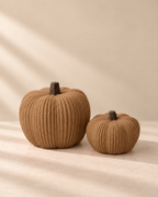 Kabocha Decor - Set