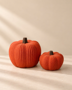 Kabocha Decor - Set